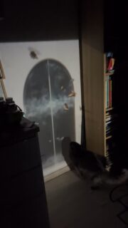 🌙 I get to sneak out and test my interactive installation for Ericsson Researchers’ Night on September 26 at Ericsson House. 🚪✨ When the kids are finally asleep… 

This little door comes to life when it senses movement — opening up to reveal a friendly monster who’s always ready to say hi 👋🪄. Can’t wait to share it with everyone at the event! 💡💙 #ResearchersNight #Ericsson #InteractiveArt #BehindTheScenes #friendly #monsters #interactive #interactiveinstallation #cat #catlife #catlove#mom #motherhood #motherintechnology #motherinarts